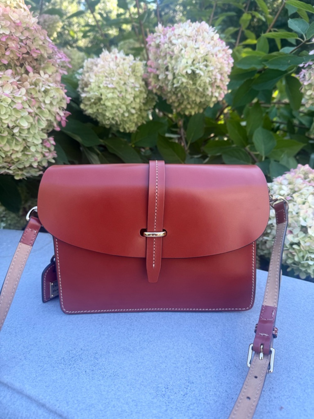 Dooney & Bourke Rare Alto Carolena Flap Cossbody
